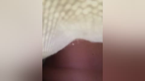 eveangelll free recording from 2025-12-19 00:03:00