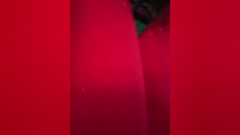 kimkelly13 free recording from 2025-12-19 00:11:00