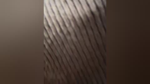 lucy_joy free recording from 2025-12-19 00:03:00