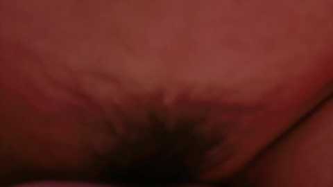 A close-up video of a light-skinned woman's pubic area, featuring a natural, dark pubic hair patch. The image is slightly blurred, emphasizing the intimate and private nature of the scene.