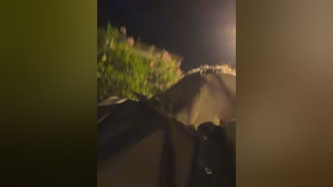 ninabigtitied free recording from 2025-12-19 00:11:00