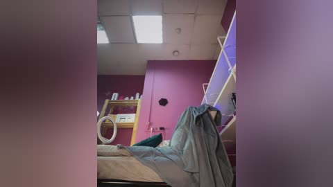 Video of a small, cozy bedroom with purple walls, a bunk bed with green sheets, a cat tree, and a ceiling light.