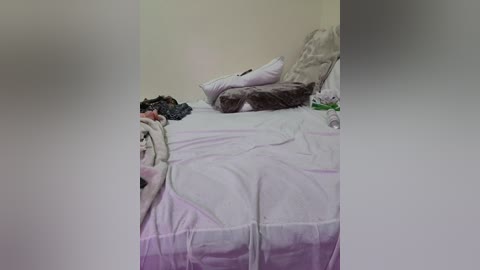 shaoula free recording from 2025-12-19 00:03:00