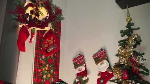 amilewis free recording from 2025-12-20 00:02:00