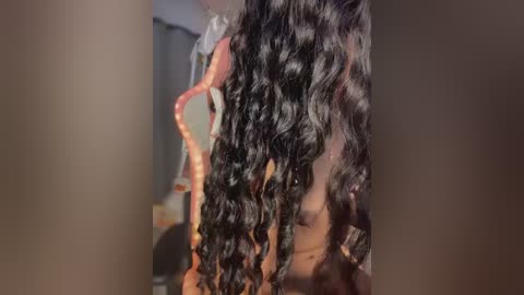 bella__honey free recording from 2025-12-20 00:02:00