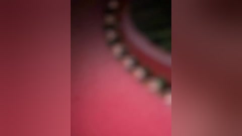 This blurred video features a pink carpet with a black and white tiled border, possibly in an ornate setting. The image is slightly out of focus, making it difficult to discern details.