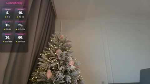 minamoons free recording from 2025-12-20 00:02:00