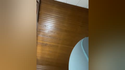 oh_nina free recording from 2025-12-20 01:01:00