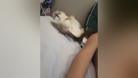 pinnnnnnk free recording from 2025-12-20 00:02:00