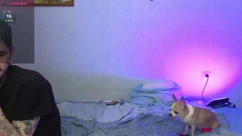 Video of a man with tattoos, wearing a black t-shirt, sitting on a bed with a beige dog; room lit by purple light, with a phone charger on the floor.