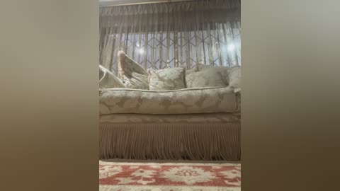 sweetcandy84 free recording from 2025-12-20 00:07:00