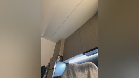 Video of a modern, minimalist kitchen interior with beige walls and sleek cabinetry. A light gray blanket hangs over a counter, a stainless steel fridge is on the left, and a window with white blinds is on the right.