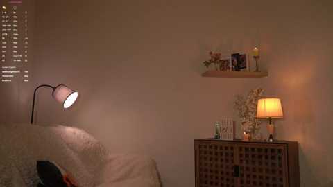A video of a dimly lit bedroom featuring a beige bed with a white comforter, a wicker nightstand with a lamp, and a shelf with flowers and books against a plain wall.