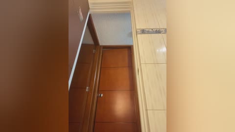 Video of a narrow, beige hallway with a wooden door on the left and a tiled wall on the right. The door has a silver handle, and the tiles have a subtle blue pattern.
