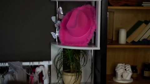 darylbarks free recording from 2025-12-21 00:06:00