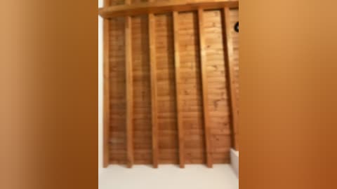 marcimaa free recording from 