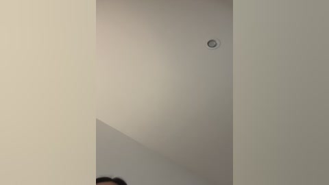 Video of a minimalist, beige room with a single, small, round ceiling light fixture, and a faint reflection of a person's head and shoulders in the corner.