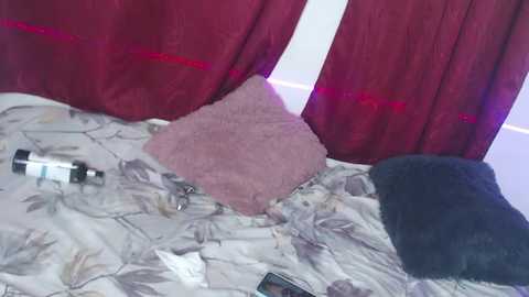 Video of a black and white cat on a bed, with red curtains and a pink pillow, a bottle of alcohol, and a remote control on the bedspread.