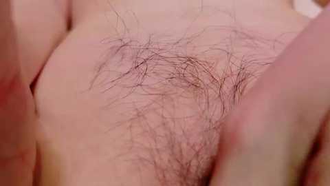 ranran_ch free recording from 2025-12-21 00:06:00