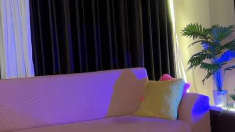 Video of a cozy living room with a cream sofa adorned with a yellow and pink pillow, a potted plant, and black curtains.