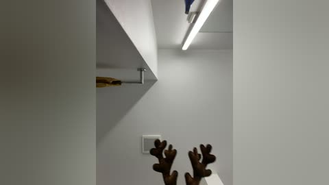 your_paris free recording from 2025-12-21 00:06:00