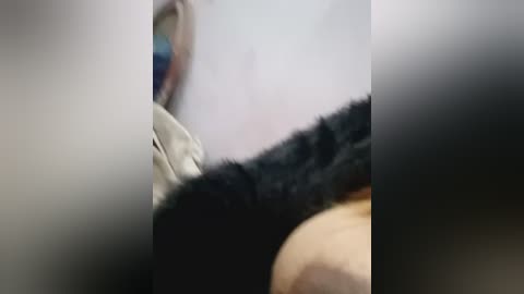 dr_kamsutra free recording from 2025-12-23 00:55:00