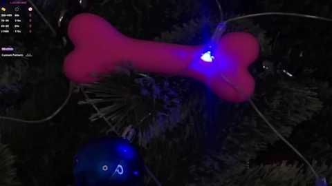 edlinhargus free recording from 2025-12-22 00:31:00