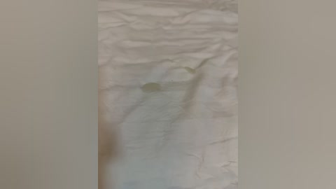 goudanlove free recording from 2025-12-22 00:05:00