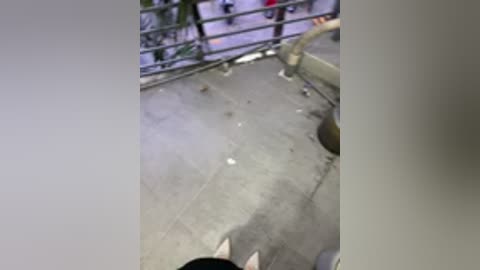 hamy88 free recording from 2025-12-22 00:05:00