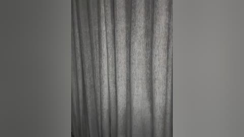 Video of a vertical, textured, gray curtain with vertical ridges, set against a plain, light gray wall, creating a minimalist and monochromatic aesthetic.