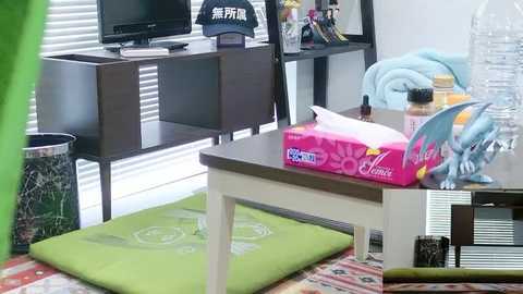 Video of a cluttered living room with a green cushion on the floor, a white coffee table holding a pink tissue box and a water bottle, and a black shelf with a TV and decorative items.