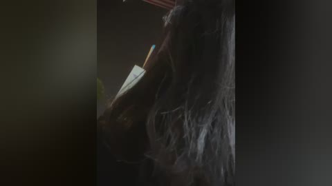 yourkeer free recording from 2025-12-22 00:05:00