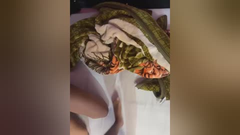 zoyarathore_ free recording from 2025-12-22 00:05:00