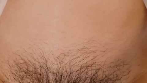 hanapipi free recording from 2025-12-23 00:05:00