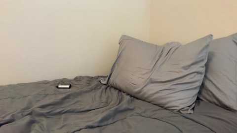 Media: A video of a simple bedroom corner featuring a gray duvet, a gray pillow, and a silver remote control on the bed against a beige wall.