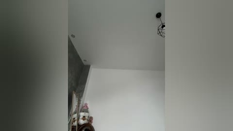 A video of a minimalist, modern interior space with a white ceiling and wall, featuring a black, wire-frame light fixture and a partially visible framed painting of a castle on the left.