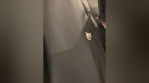 velvetvixeni free recording from 2025-12-23 00:43:00