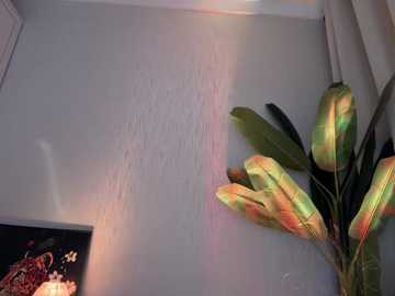 A video of a white wall with a colorful, artificial plant featuring green and yellow leaves and a nearby television showing a red and green screen.