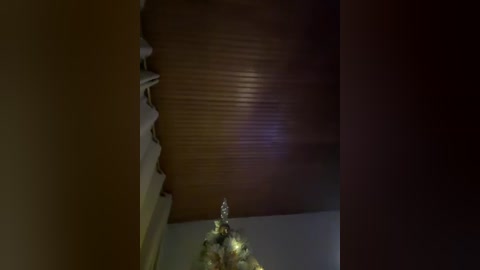 agathageorgiou free recording from 2025-12-24 00:04:00