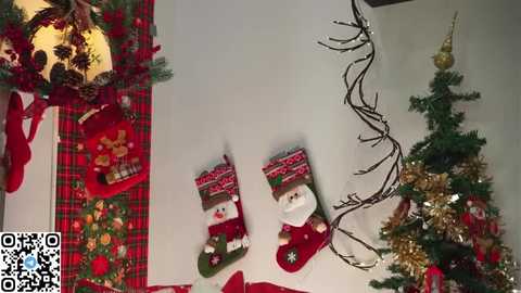 amilewis free recording from 2025-12-24 03:43:00