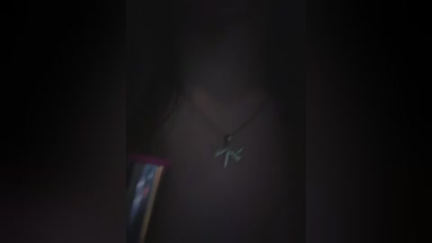 anita_vega free recording from 2025-12-24 00:33:00