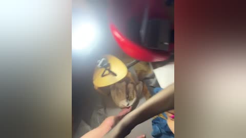 artur_anna free recording from 2025-12-24 00:33:00