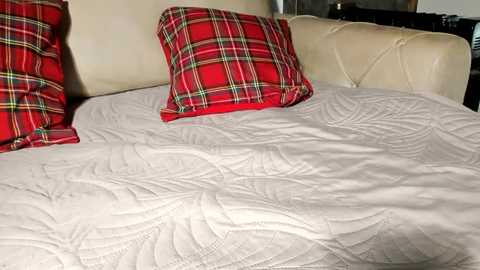 Video of a neatly made bed with a white quilted comforter and two red plaid pillows against a cream-colored upholstered headboard.