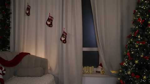 cindygarrison free recording from 2025-12-24 00:04:00