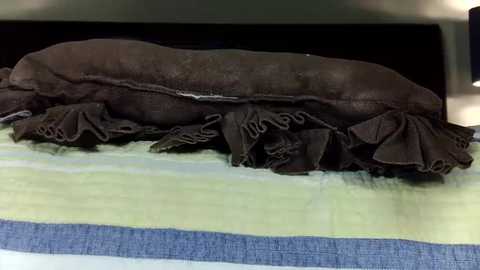 Video of a meticulously crafted, dark brown, intricately pleated ruffle fabric laid flat on a light green and blue striped cloth with a visible seam.