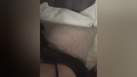 A video of a person's arm with hairy skin, holding a white pillow and a dark pillow, with a blurred background.