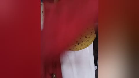 sneha_gril free recording from 2025-12-24 03:02:00