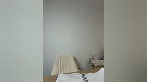 Video of a minimalist, beige-walled room with a white chair covered by a beige cloth, a desk with a spiral notebook, and a decorative tree with small ornaments.