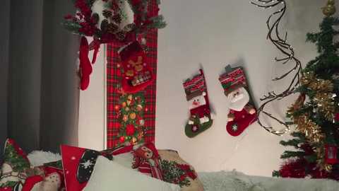 amilewis free recording from 2025-12-25 00:44:00