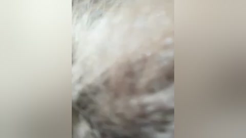 anna_kk free recording from 2025-12-25 00:44:00